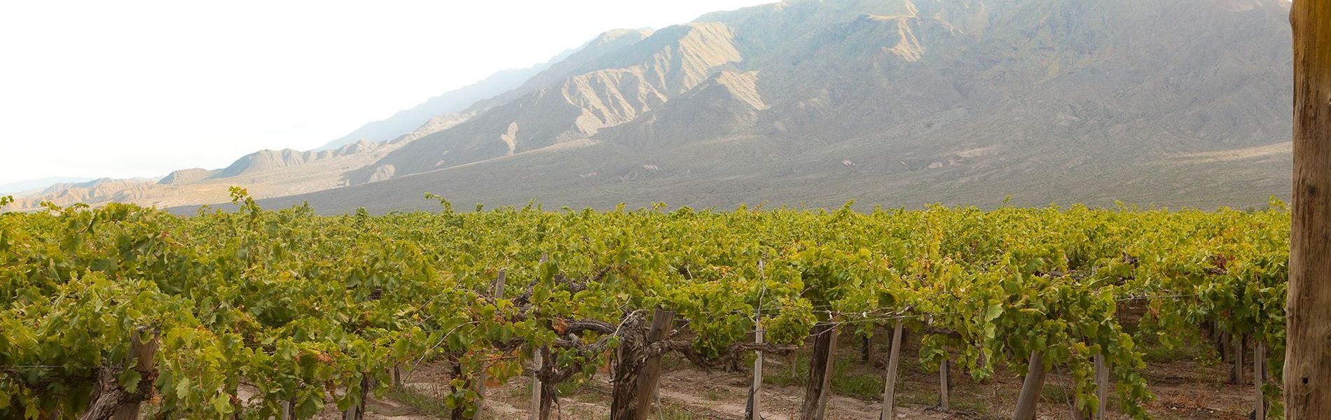 Albertina Hotel San Juan