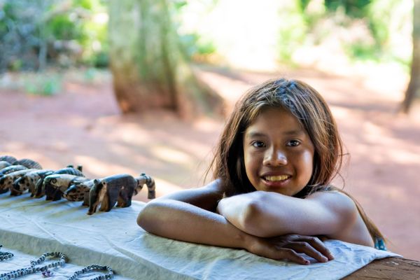 Glamping Selva Iguazú