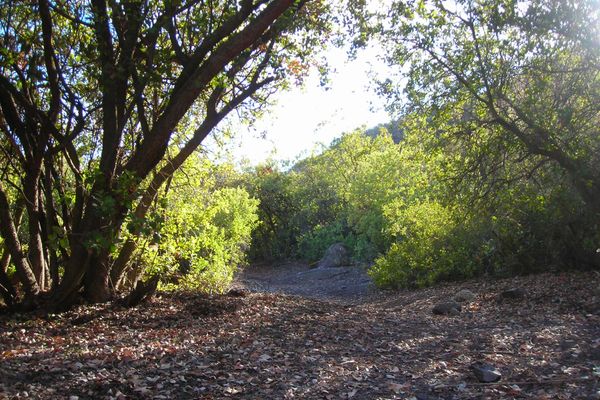 Cabaña cuandruple camarote