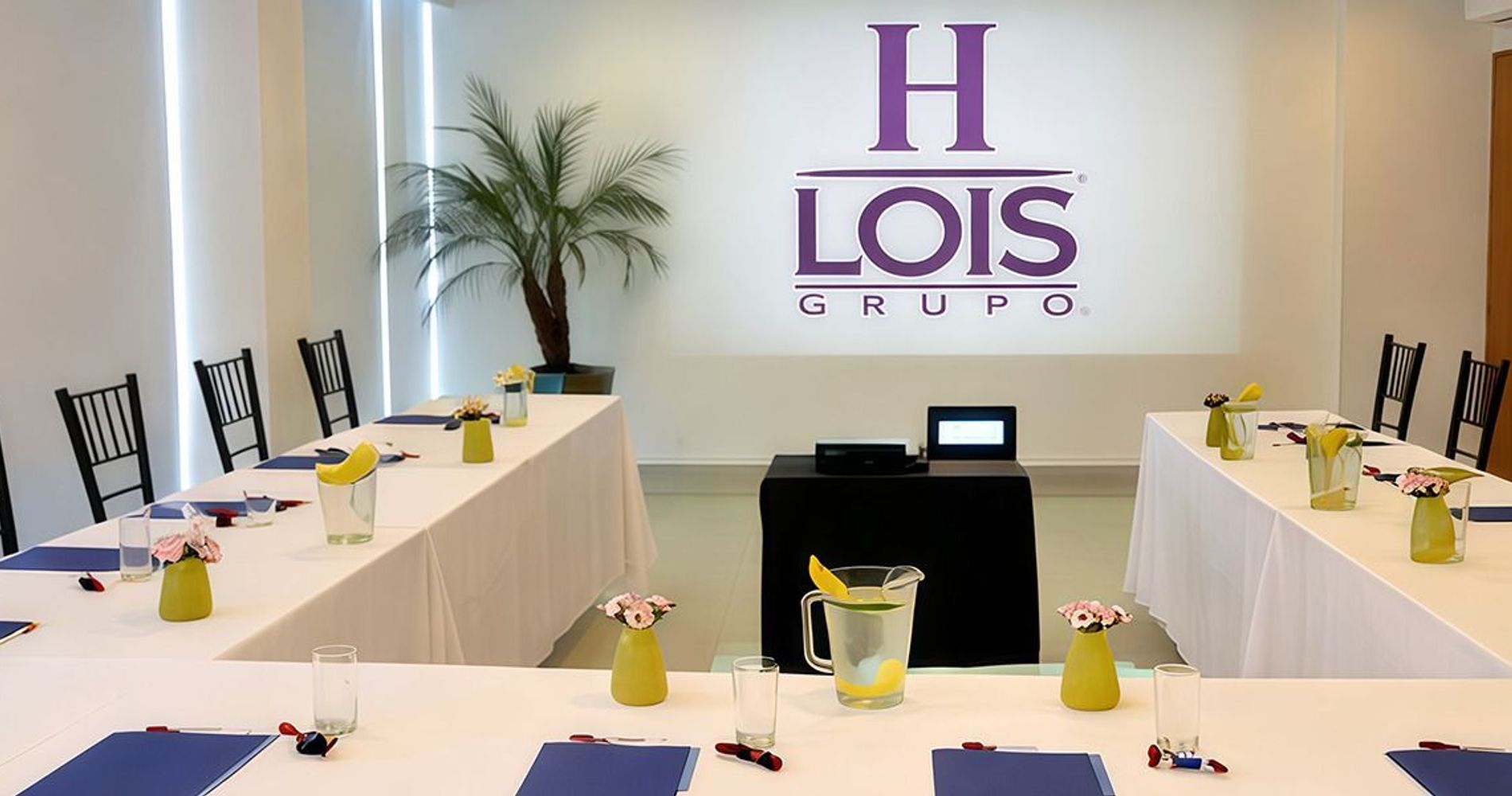 Hotel Lois Express Monterrey Aeropuerto La Fe