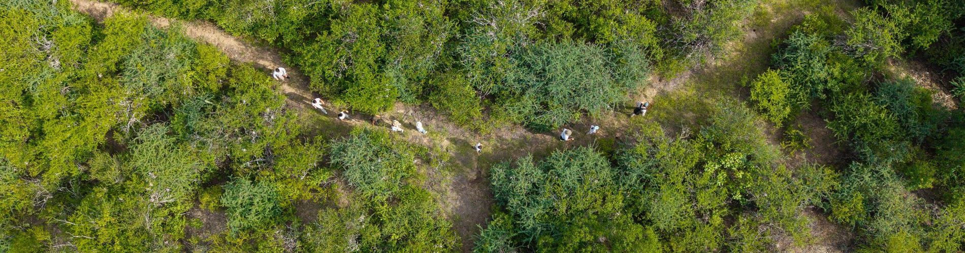 Sentio Camps Glamping