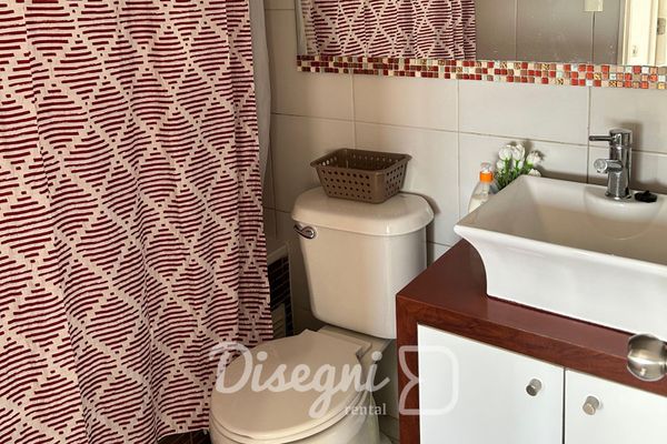 Disegni 17 - Departamento Santiago, Cercano a Metro y Cultura