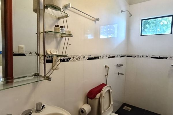 Matrimonial Estándar