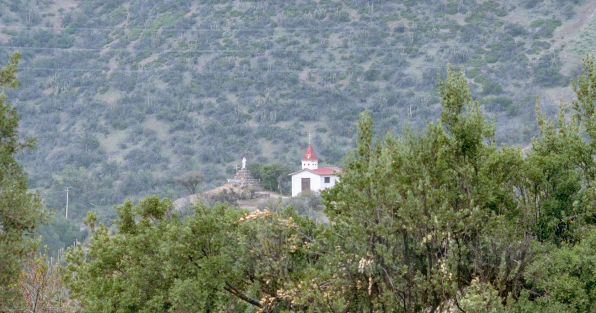 Floresta la Ermita