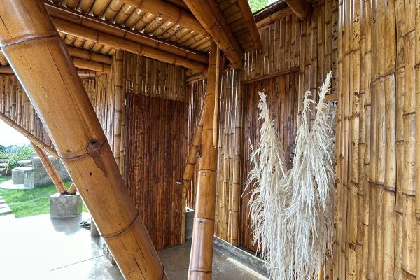 Cabaña Tangara Real