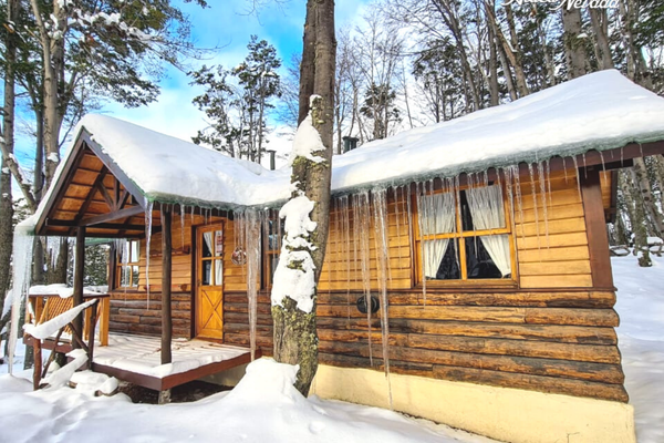 1 DORMITORIO STANDARD