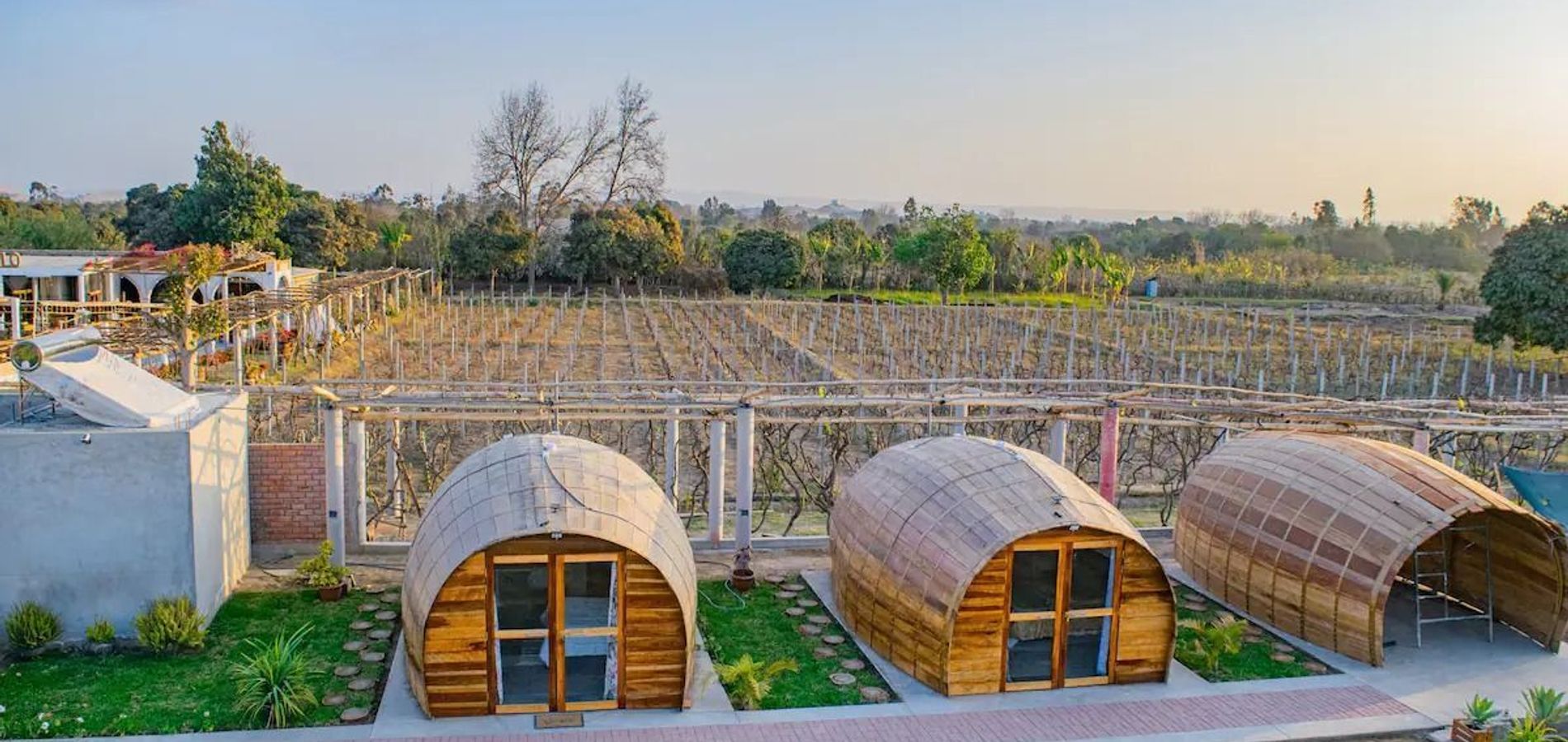 Glamping Toneles y Viñedos
