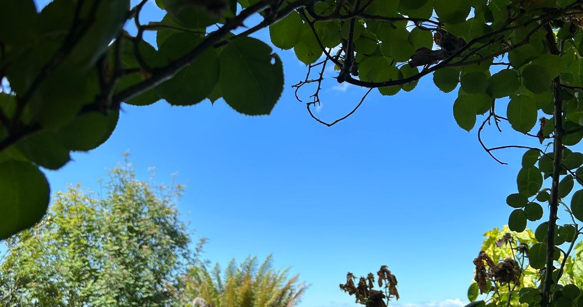 Casa Frau Holle Bed & Breakfast