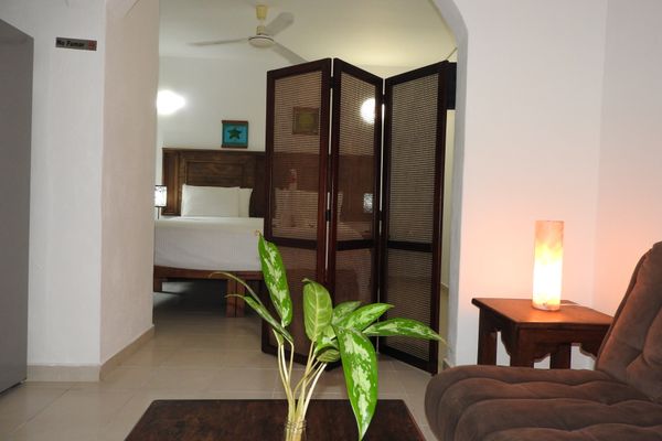 Estudio con cama extragrande