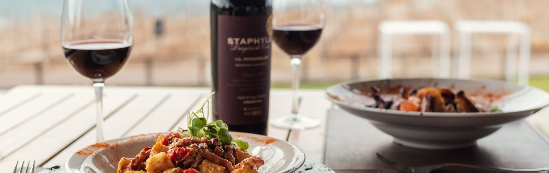 Gran Hotel Potrerillos