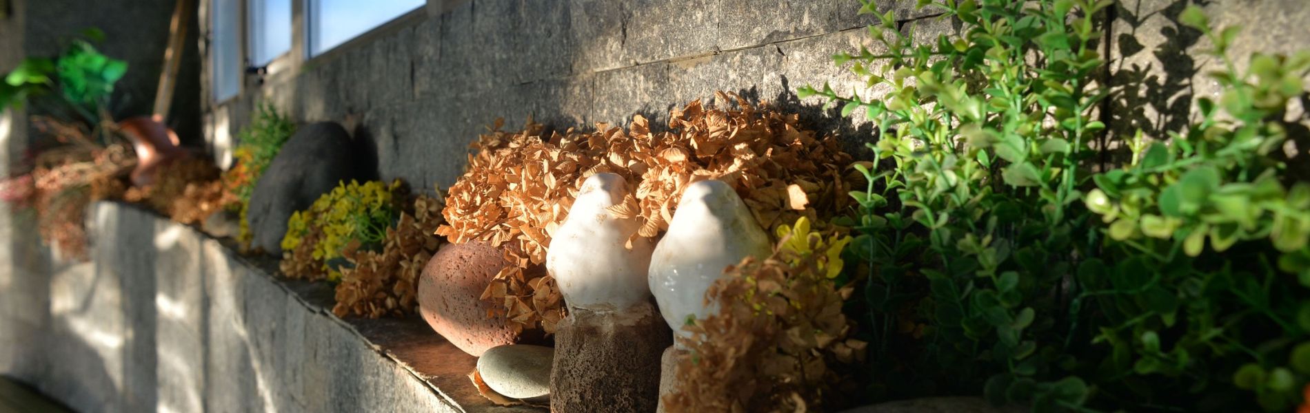 Tequendama Spa & Resort