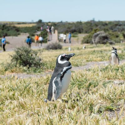 Conocé nuestras excursiones