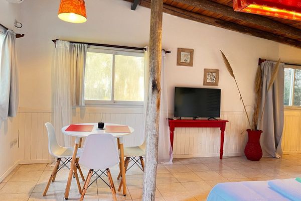 APART AL CAMPO PURA SANGRE