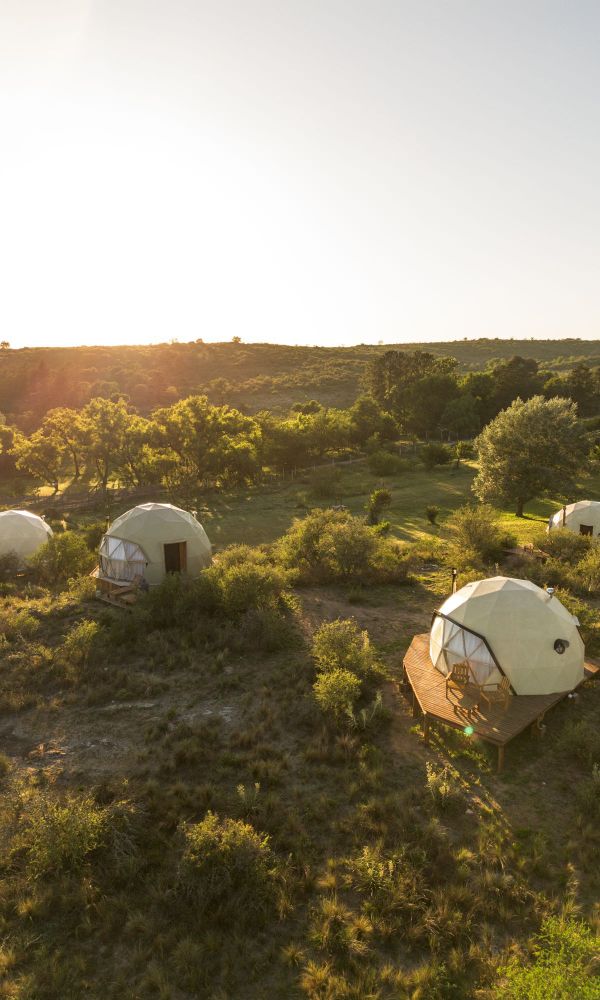 Glamping Tica Nativo