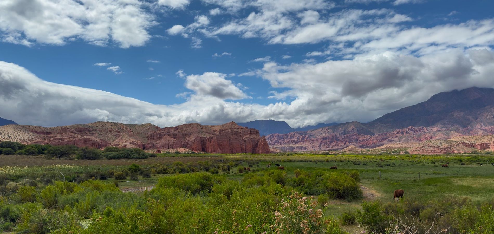 La Casa De La Bodega - Wine Boutique Hotel
