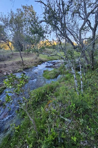 El Secreto en las Sierras