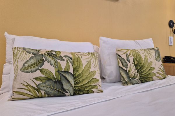 Habitacion Estandar doble twin