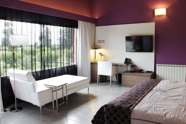 Habitación Arándano 