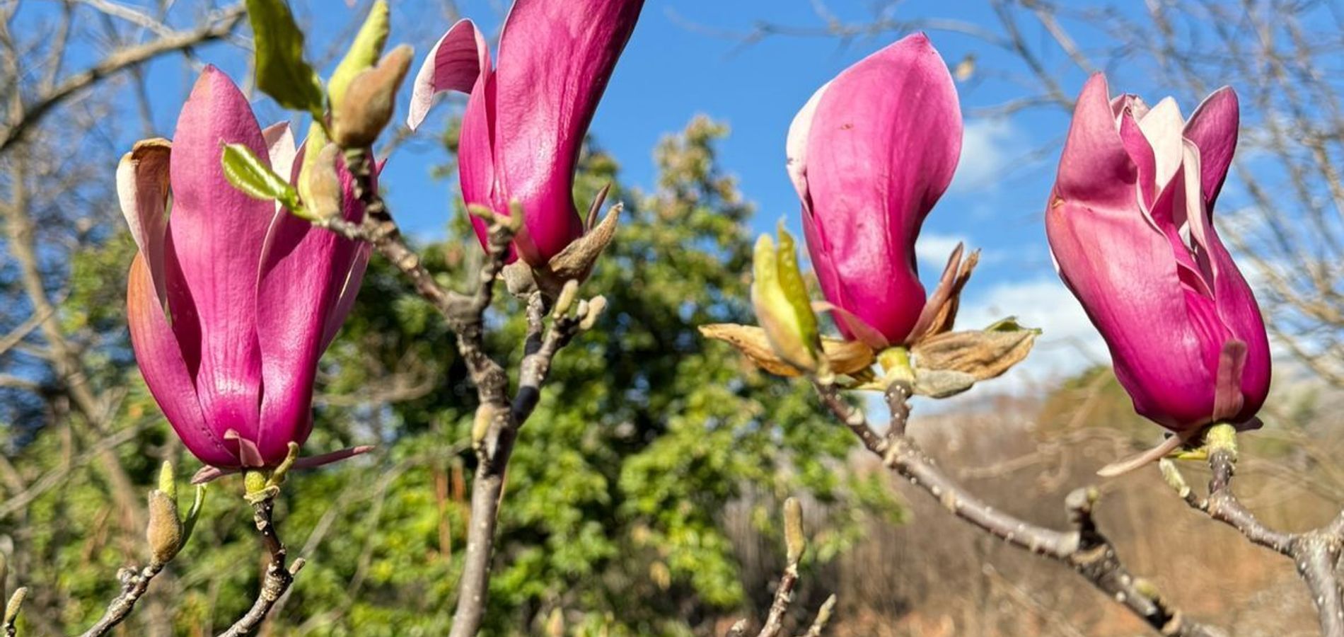 Hosteria Alta Montaña