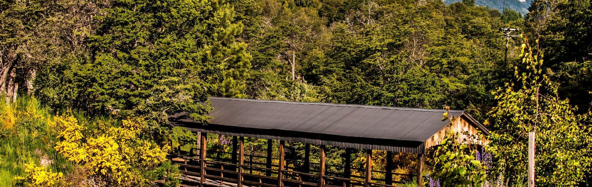 Departamentos De El Mercado