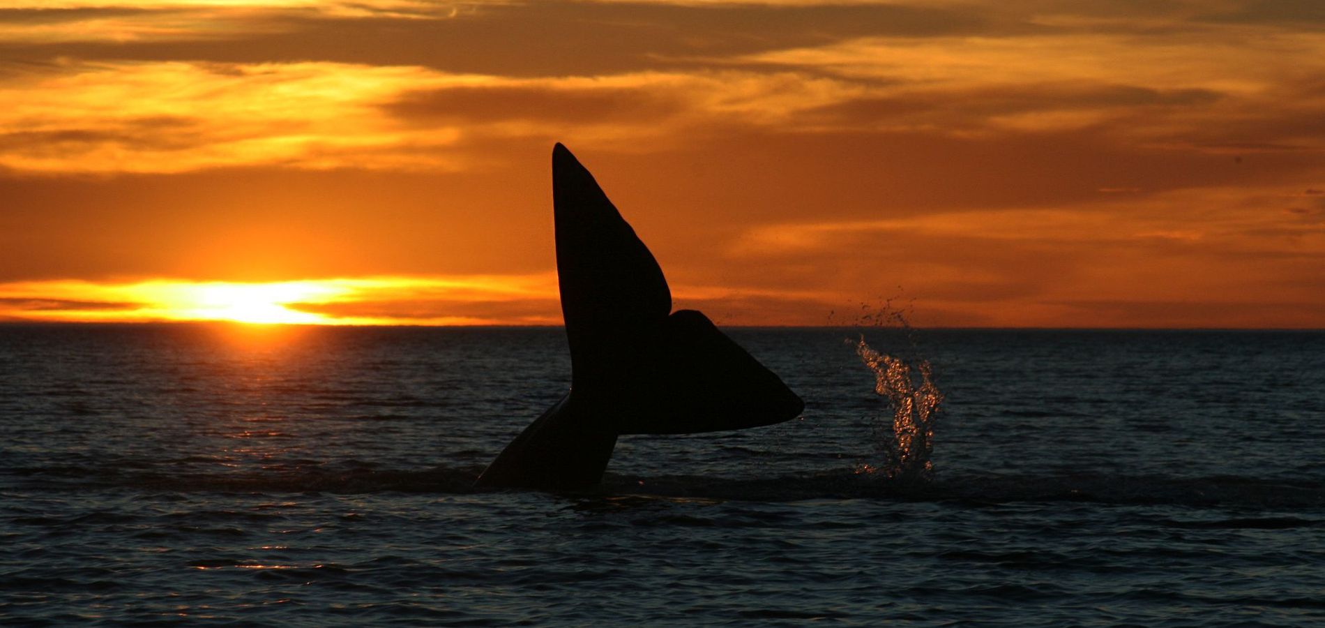 Las Restingas Hotel de Mar