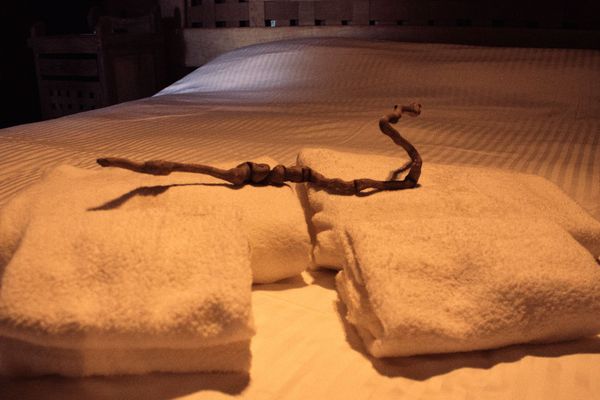 Habitación Clásica