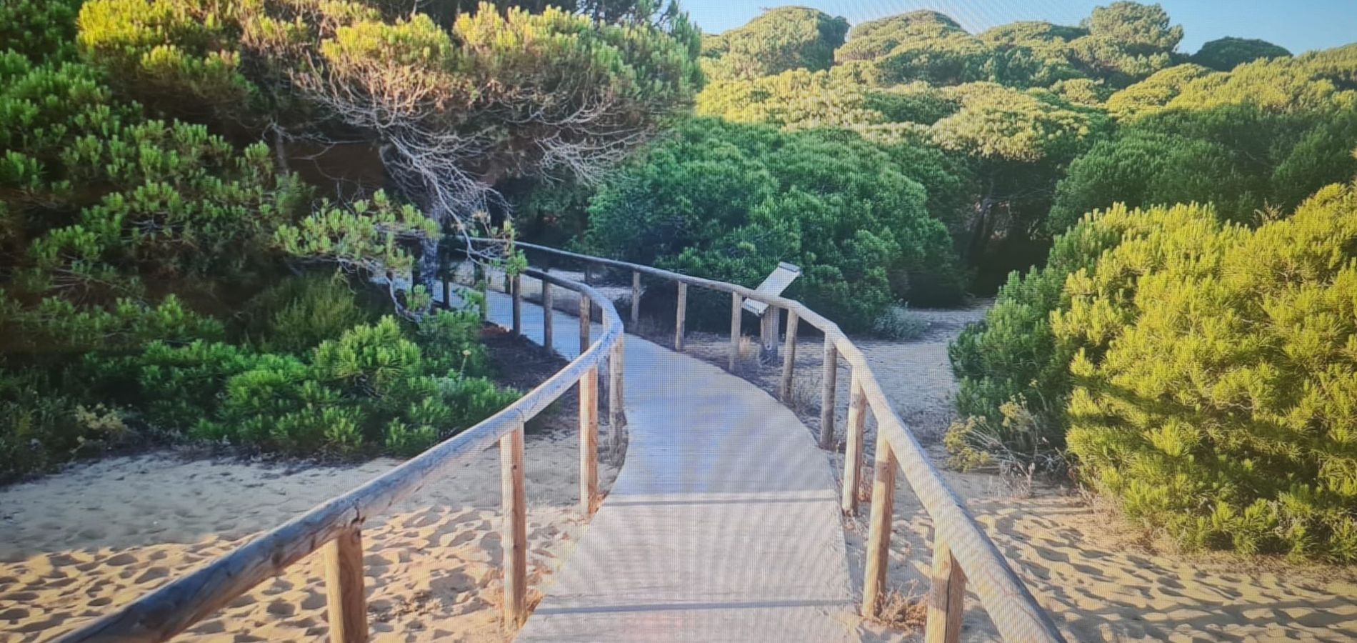 Apartments Luxury Costa