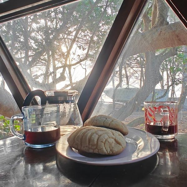 Hotel Playa Tortugas