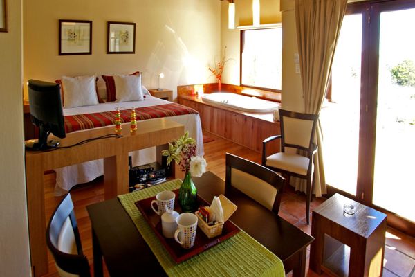 SUITE SUPERIOR CON HIDROMASAJE (con balcón terraza y vista del parque y las sierras)