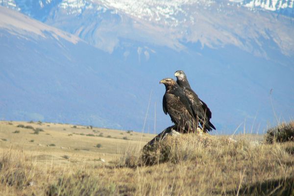 Los Ponchos Boutique Hotel