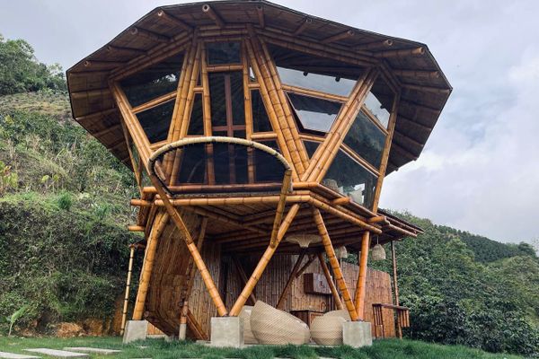 Cabaña Tangara Real