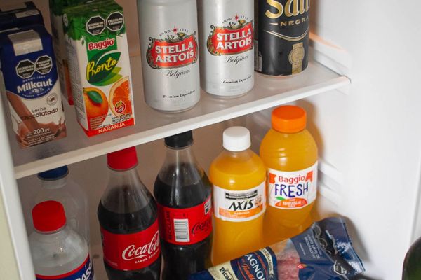 DOMO ALLPA CON PROYECTOR Y PANTALLA