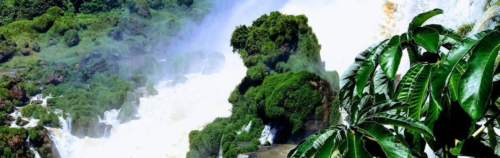 Roots Sturgeon Hotel