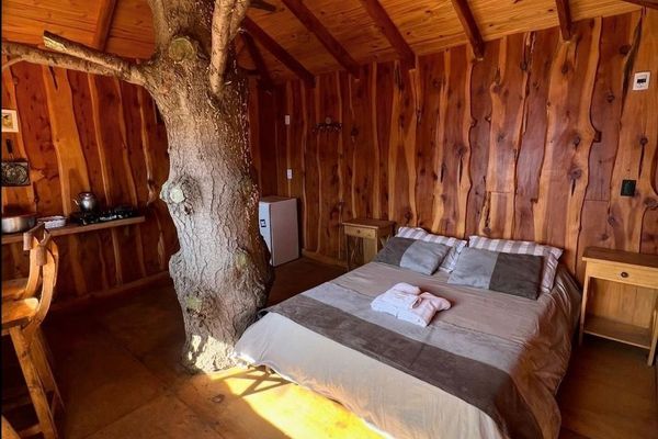 Casa del árbol para dos personas 