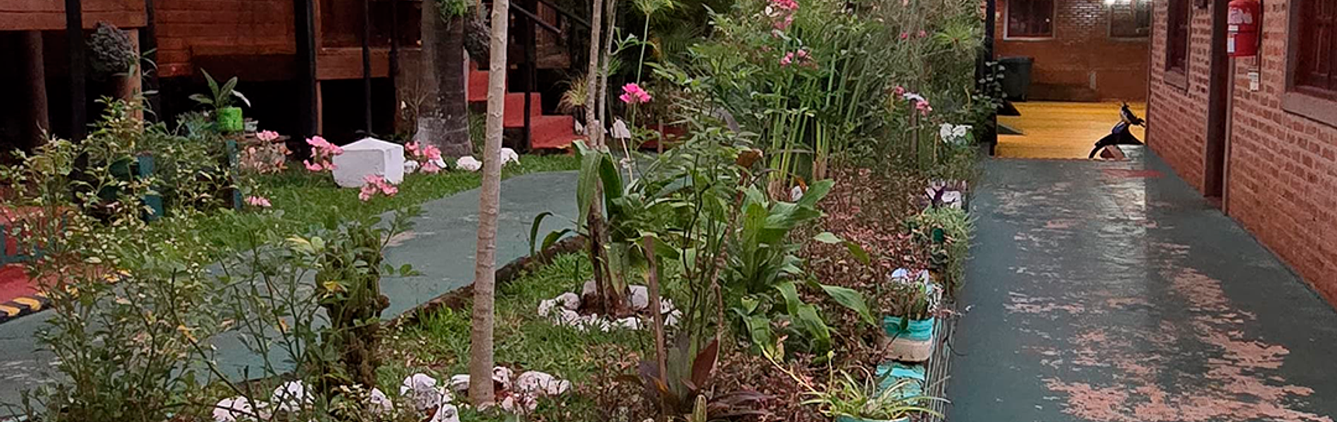 Terra Iguazú Cabañas