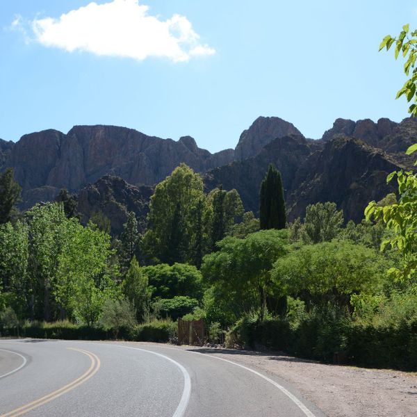 Cabañas Carü Leufu