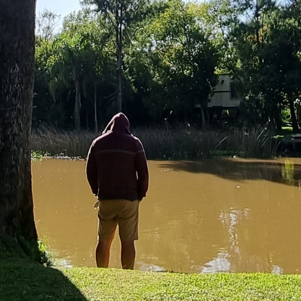Bosque de Bohemia. Alquiler Temporario. Delta Tigre