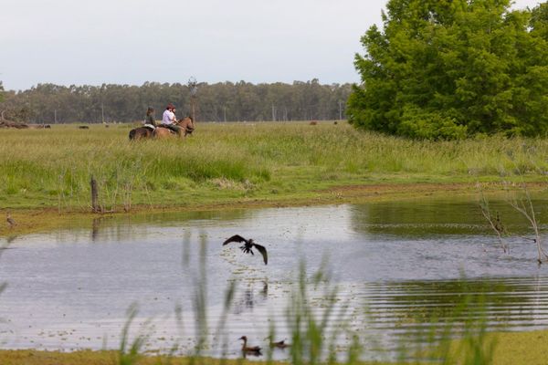 Día de campo Gaucho