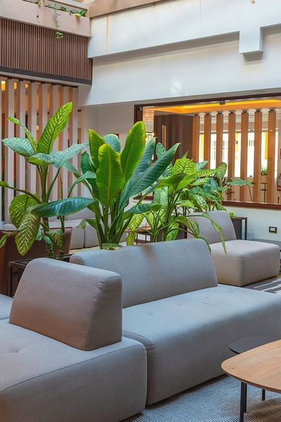 Hotel Victoria Regia - Iquitos- Loreto - Perú