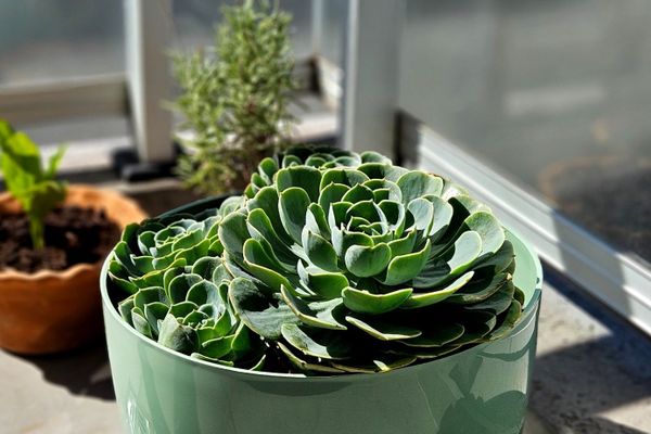 Sierra Suites en el corazón de Salta