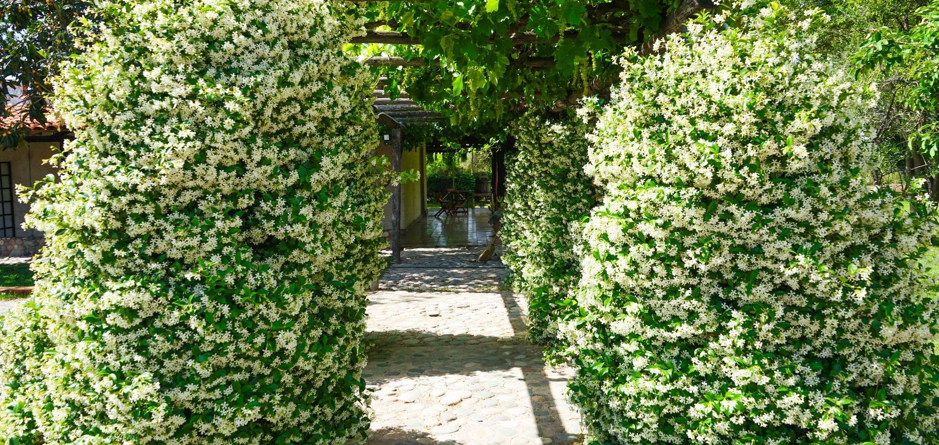 Posada Cavieres Wine Farm