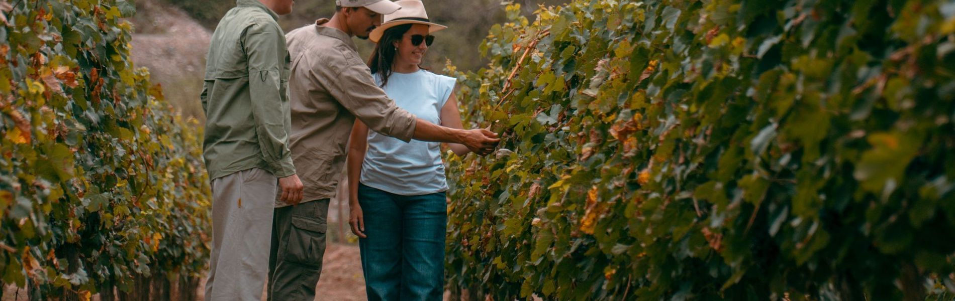 Sentio Camps Glamping