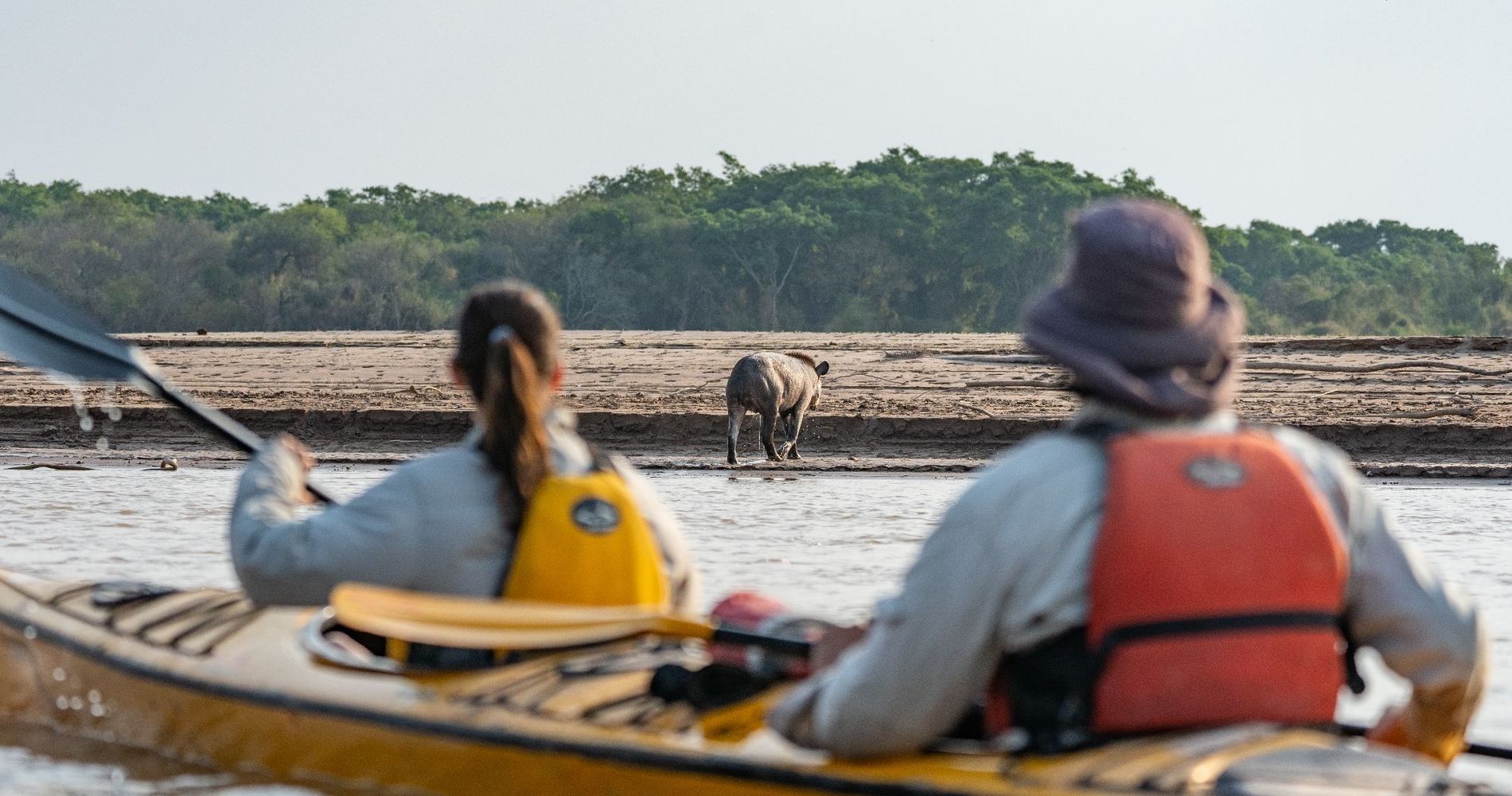 Glamping Los Palmares