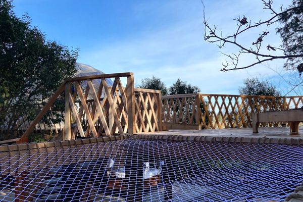 Domo Ilusión Silvestre