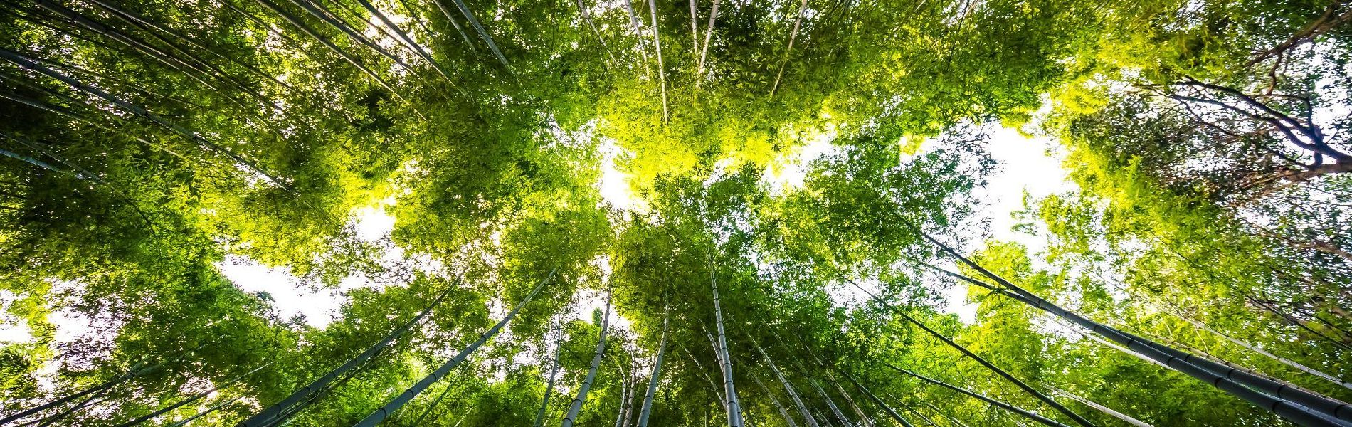 Quinto Centenario Hotel