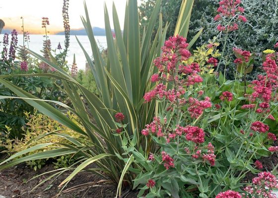 Costa Brava Apart Hotel & Suites