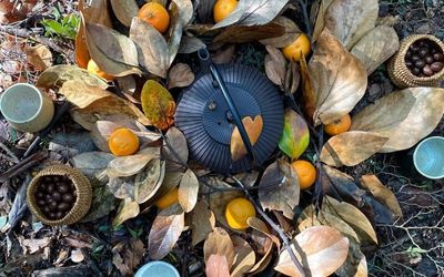 HotelPosadadelRioParqueMetrenehue - Baño de bosque