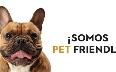 HOTELCARMEN5fb - Hotel Pet Friendly