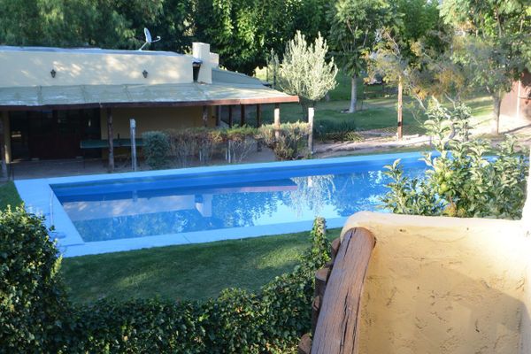 Eucaliptos - hasta 6 pax 