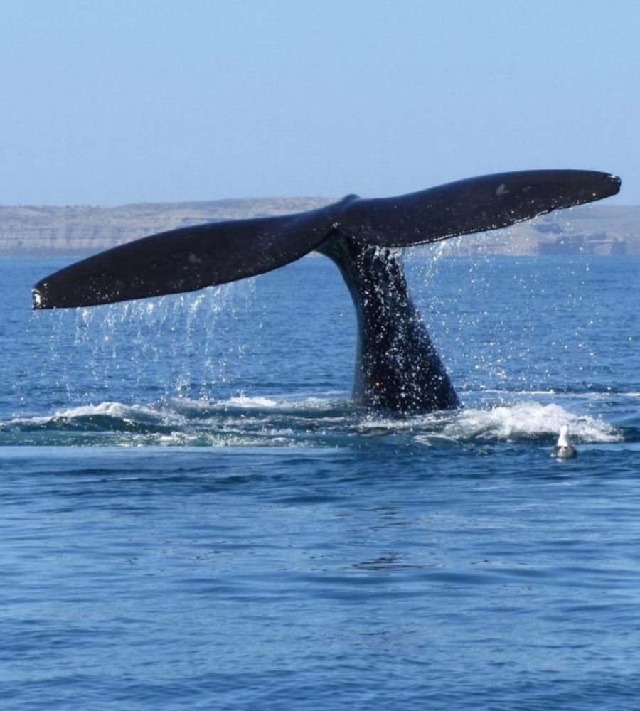 HOTEL CASINO DEL RÍO - LAS GRUTAS